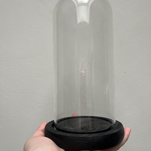 Black display dome with wood base | 21 v 11cm (h, w) | tall | glass display dome | black glass dome | glass cloche | black wooden base