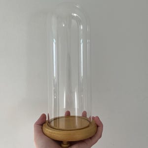 May include: A clear glass cloche with a rounded top, set on a round, light-coloured wooden base. The base has a small, decorative foot. The cloche is held in a person's hand against a white background.