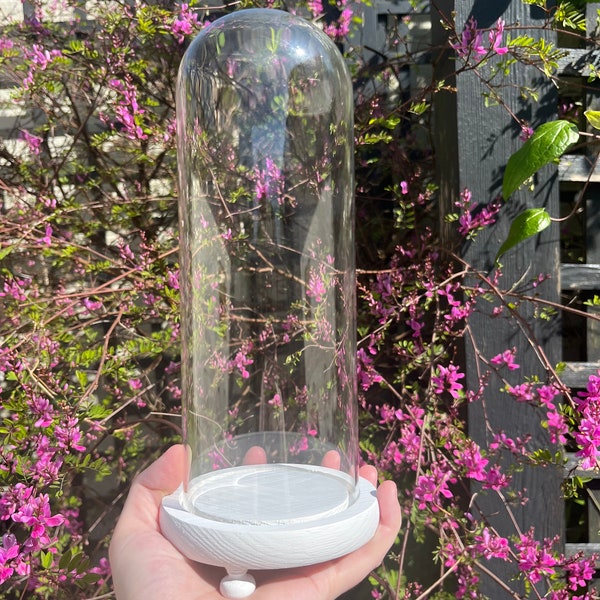 Skinny bell jar with white wooden base | 29 v 11cm (h, w) | long | tall glass dome | large glass cloche | display dome |  wood base on legs