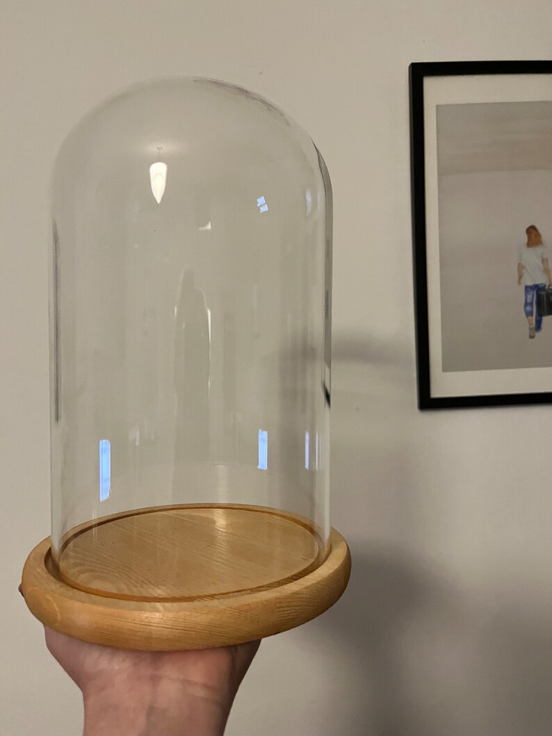 Large Glass Dome With Light Varnished Wood Base 25 V 15 Cm h, W Extra