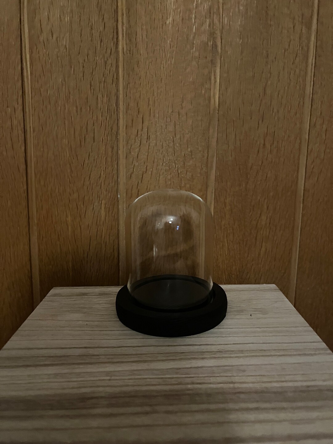 Small Black Glass Dome With Wood Base 10 V 10 Cm h, W Black Bell Jar
