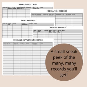 The Complete Horse Record Book - Etsy