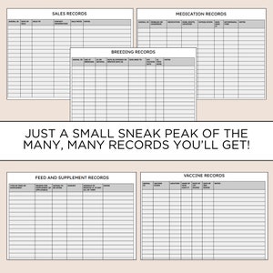 The Complete Horse Record Book Digital Copy - Etsy