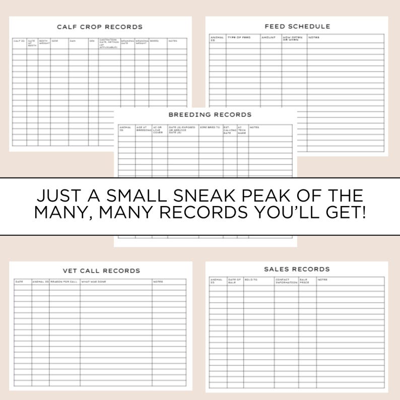 The Complete Cattle Record Book - Digital Copy image 6
