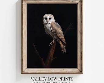 May include: A white and brown barn owl perched on a branch against a black background. The owl has a white face with black eyes and a brown body with white feathers. The owl is looking directly at the viewer.