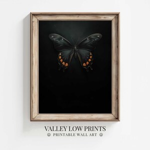 Dark Moody Butterfly Wall Art | Simple Oil Painting Digital Download Print | Minimalist Dark Academia Painting | Printable Art Decor | FA8