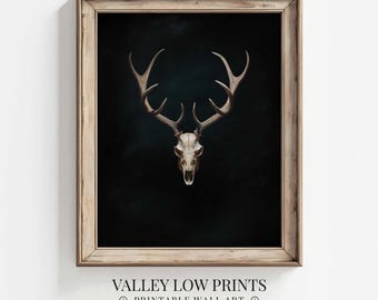 May include: A black and white print of a deer skull with antlers against a dark background. The skull is framed in a light wood frame.
