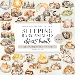 Sleeping Baby Animals Clipart, Sleeping Woodland, Cute Baby Animal PNG, Sleeping Animals PNG, Cute Animal Clipart, Watercolor Clipart