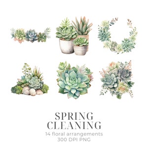 May include: A set of 14 watercolor illustrations of succulent plants in various arrangements. The illustrations feature green, white, and pink succulents in pots, wreaths, and bouquets. The text "SPRING CLEANING" and "14 floral arrangements 300 DPI PNG" is included in the image.