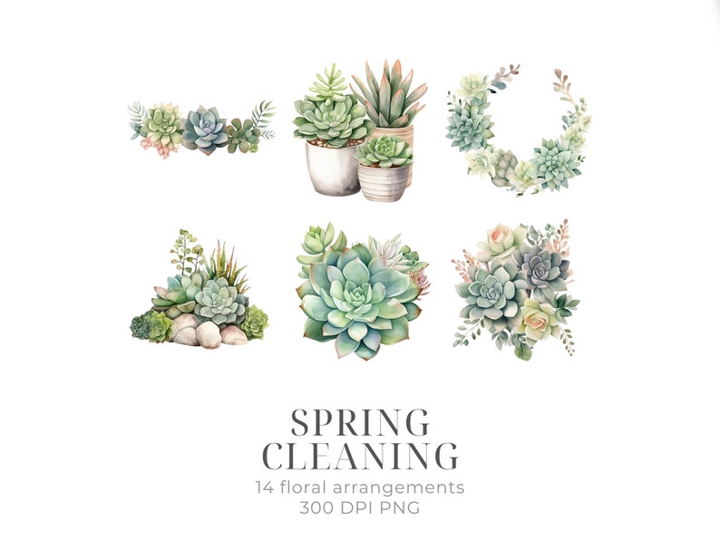 May include: A set of 14 watercolor illustrations of succulent plants in various arrangements. The illustrations feature green, white, and pink succulents in pots, wreaths, and bouquets. The text "SPRING CLEANING" and "14 floral arrangements 300 DPI PNG" is included in the image.