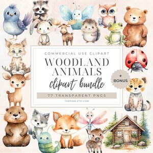 Nursery Woodland, Watercolor Woodlands, Woodland Baby Shower, Watercolor Clipart, Nursery Decor, Nursery Wall Art, Forest Animals PNG