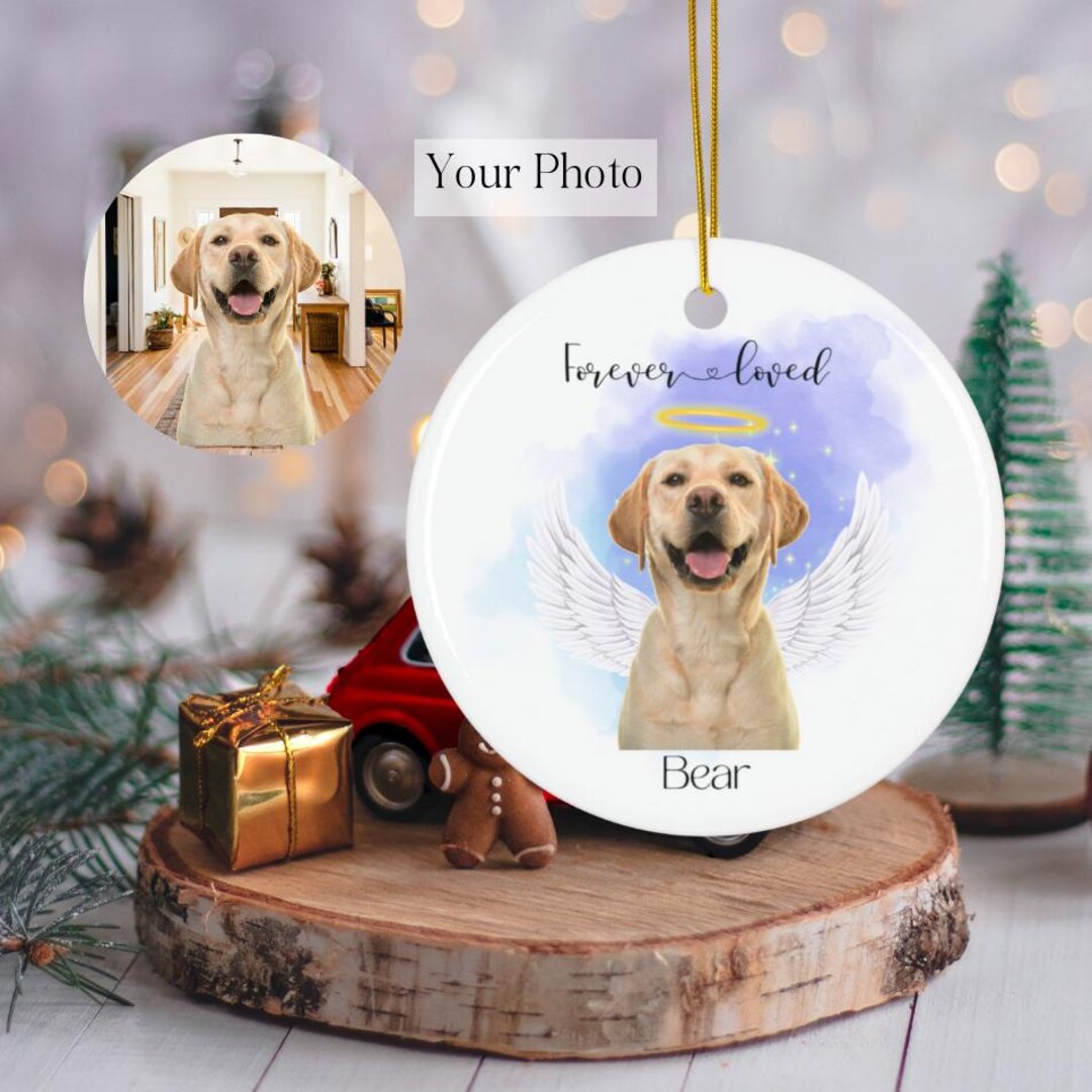 Pet Memorial Photo Ornament for Dog & Cat Loss, Custom Christmas Name ...