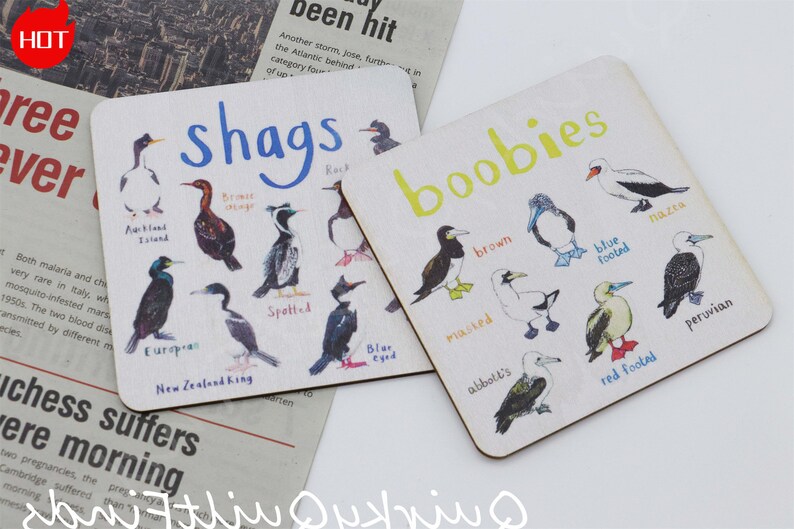 Set of 6 Handmade Acrylic Bird Pun Coasters Drink Coaster,tits Bird