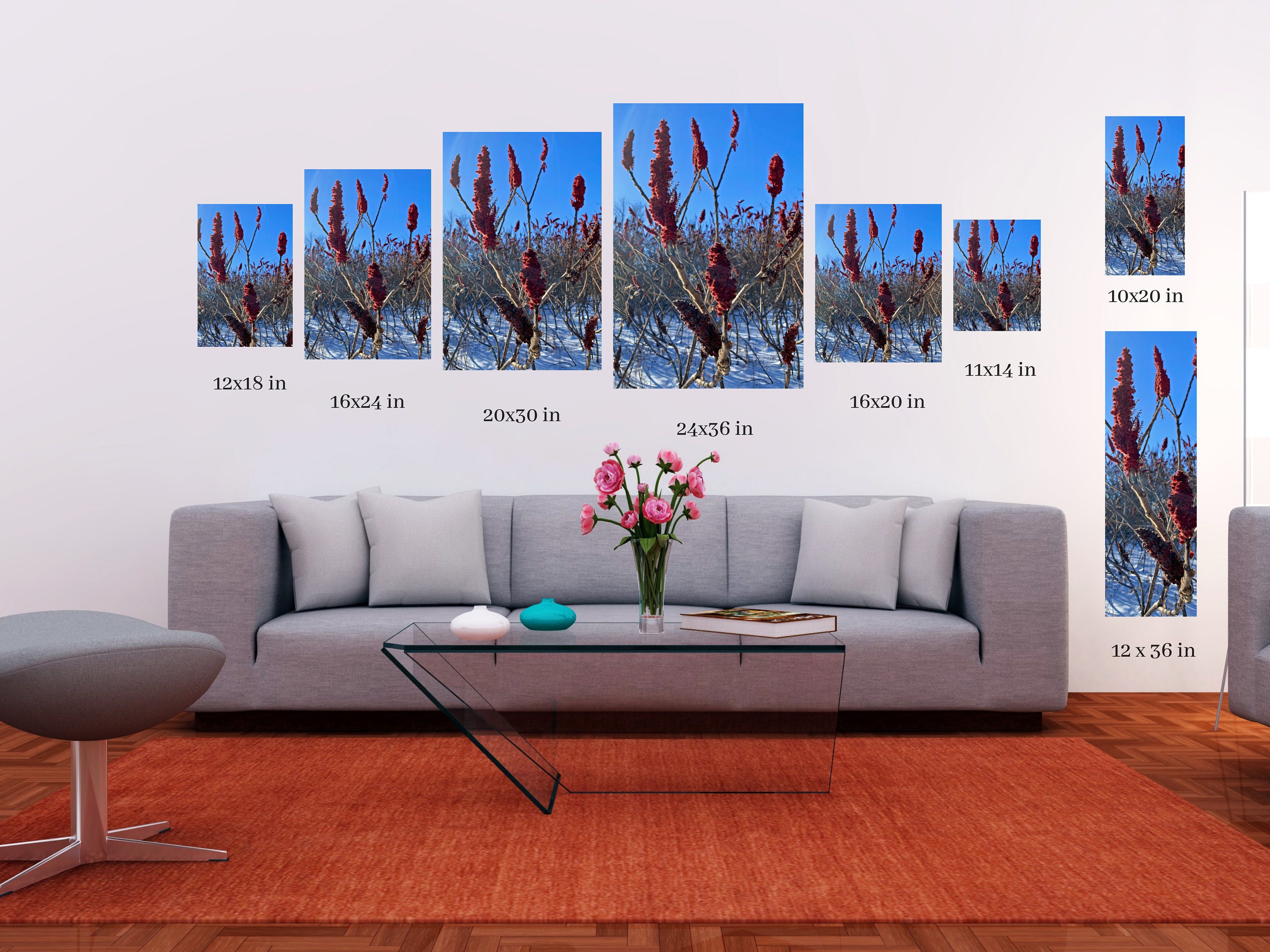 Fuzz Rays Sumac Patch, Sun Rays and Stem Fuzz, Nature Photo Print on Canvas, Wall ...