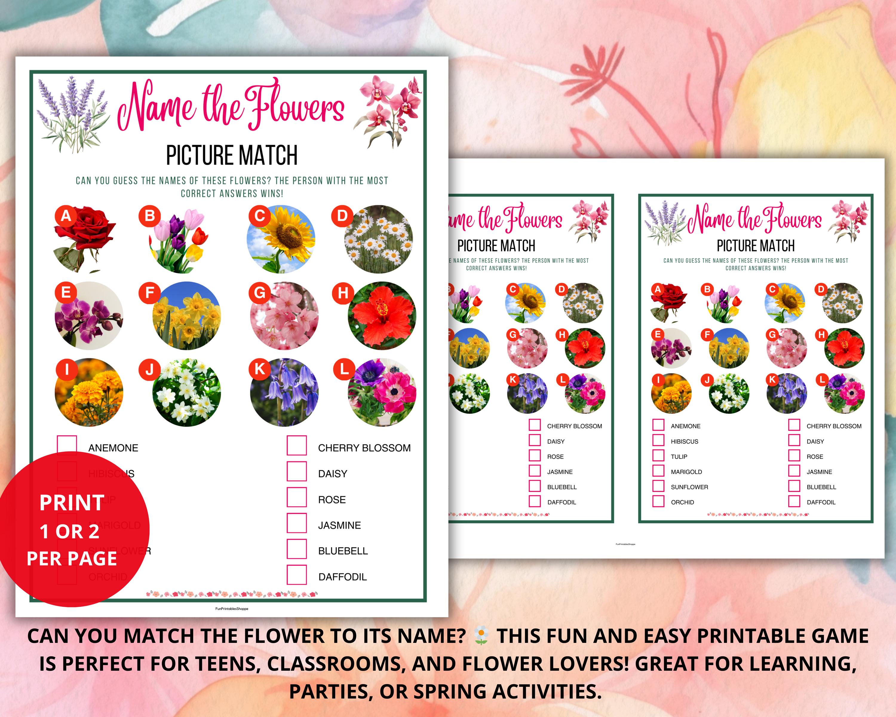 Flower Trivia Game,flower Matching Game,name the Flowers,spring Trivia ...