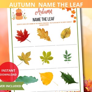 Puede incluir: Un juego de otoño imprimible para niños. El juego se llama "Nombra la hoja" y presenta imágenes de diferentes tipos de hojas. El texto "Identifica cada hoja que se muestra en las imágenes proporcionadas. El jugador con la mayor cantidad de respuestas correctas gana!" está incluido en la tarjeta del juego.