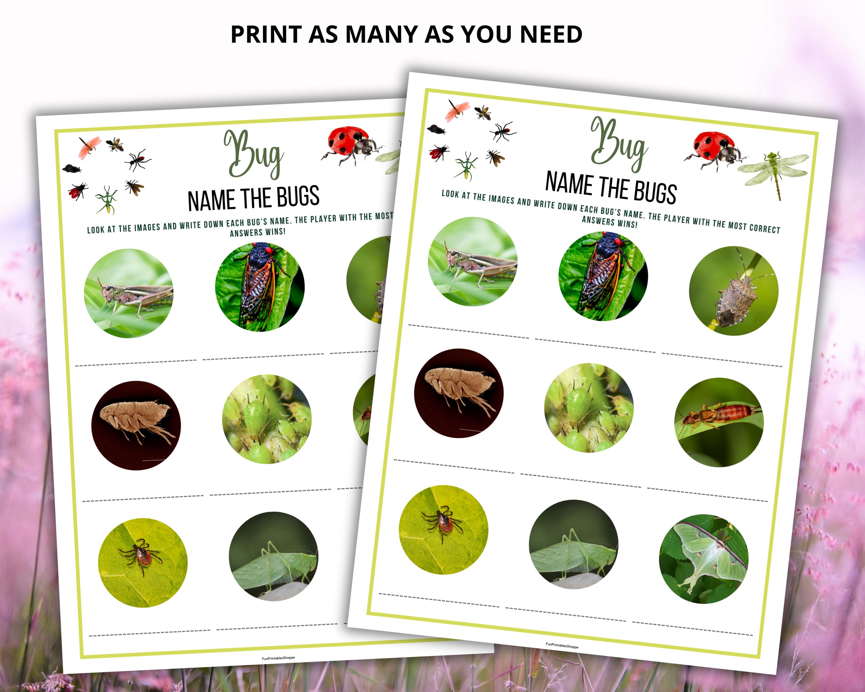 Trivia In Insect Bug Trivia Game,insect Trivia,insect Picture Quiz,name the Bug Game ...