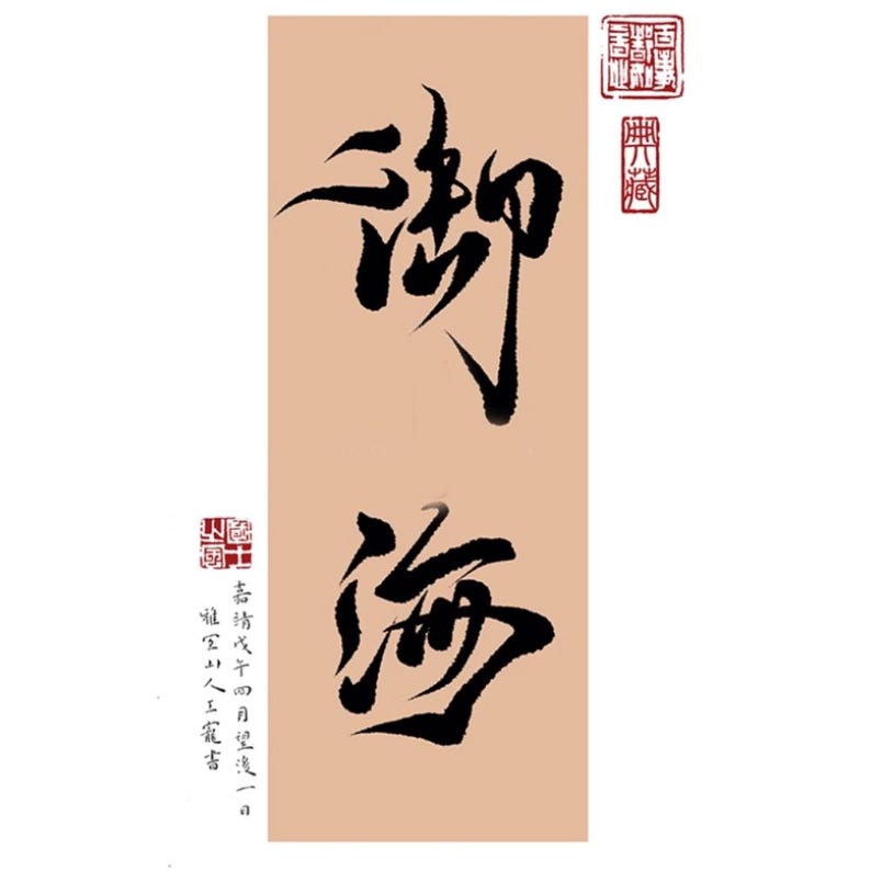 Juego de 7 pinceles especiales de caligrafía, lavado de tinta y acuarela para Procreate, pinceles para salpicaduras, sellos y Sumi-e, efectos de salpicaduras de tinta, Japón. imagen 5