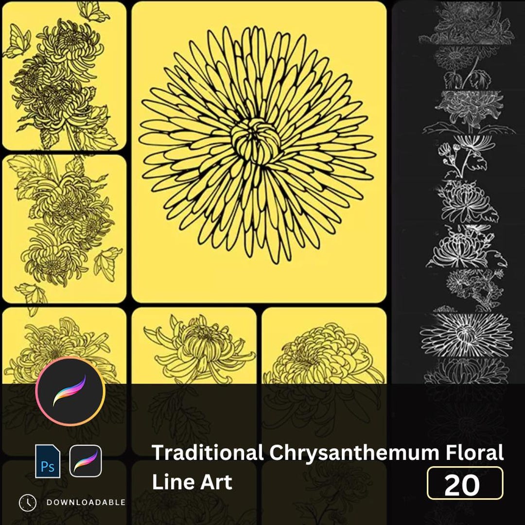 20 Chrysanthemum Brushes Procreate PS- Traditional Chinese Floral Line ...