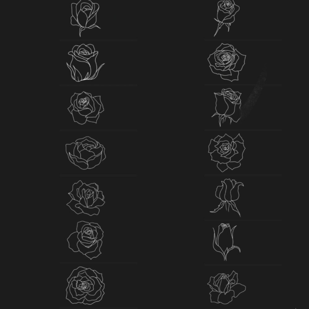 50 Rose Procreate Stamp Roses Sketch Line Art, Flower Brush Stamps ...