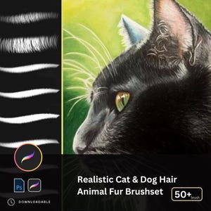 Procreate Animal Fur Brushes | Realistic Cat & Dog Hair Textures | Fluffy Hair Strands Fur Brushes for Procreate Photoshop Pet Design