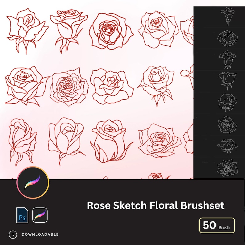 50 Rose Procreate Stamp Roses Sketch Line Art, Flower Brush Stamps ...