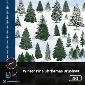 Puede incluir: Una colección de ilustraciones de pinos de invierno en varios tamaños y estilos, sobre un fondo nevado. La imagen incluye un logotipo de Procreate y Photoshop, y el texto "Winter Pine Christmas Brushset" y "40".