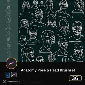 Può includere: Un set di pennelli di arte digitale per lo studio dell'anatomia, con disegni a tratto bianco di teste umane in varie pose su uno sfondo verde scuro. Il testo "Anatomy Pose & Head Brushset" è visualizzato, insieme al numero "36".