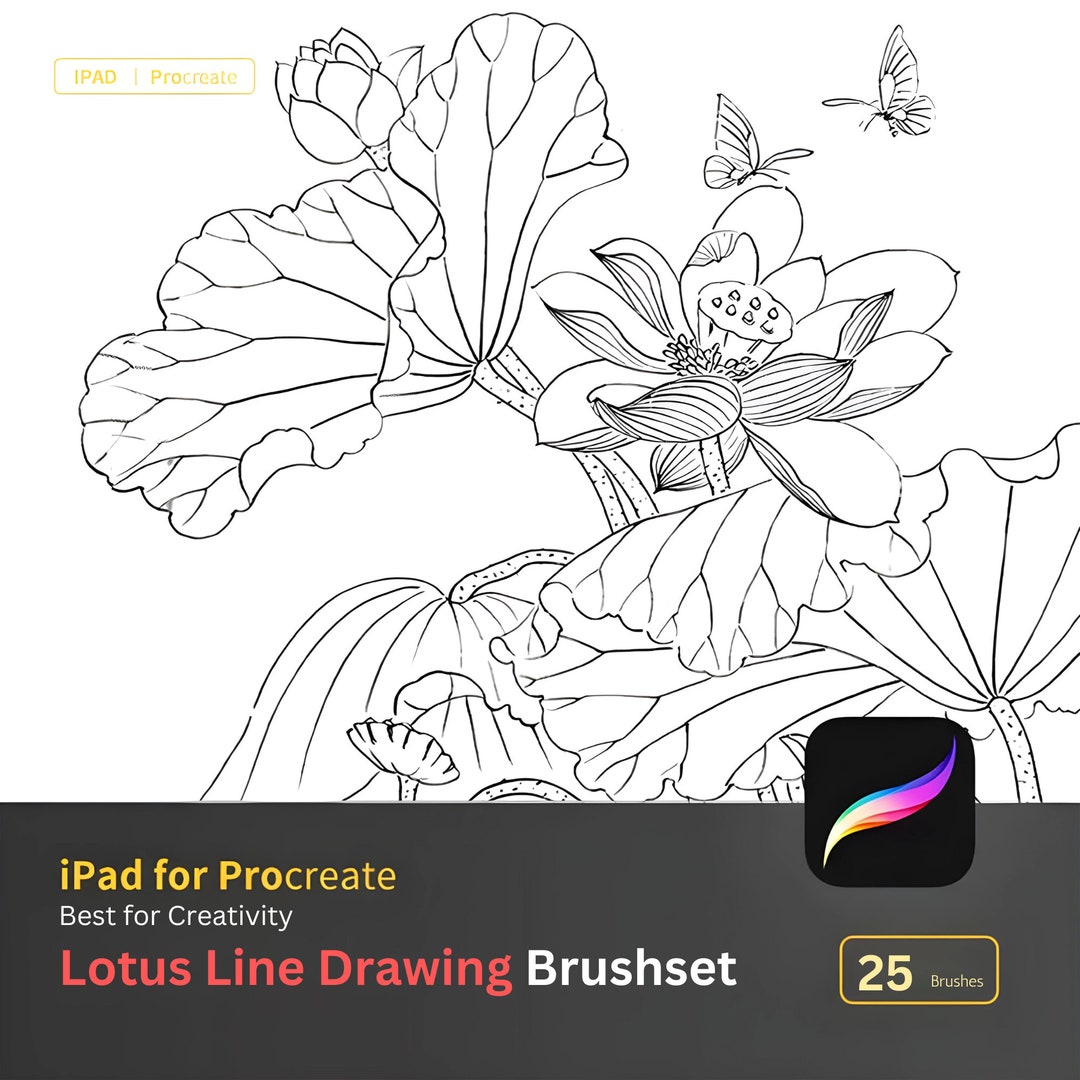 25 Lotus Line Drawing Brushset Procreate Lotus Brush | Lotus Stamps for ...