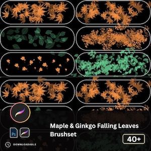May include: A digital brush set for Adobe Photoshop featuring 40+ brushes of maple and ginkgo leaves in various shades of orange and green. The brush set is downloadable and includes a preview of the brushes.