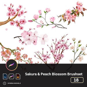 Puede incluir: Un conjunto de 18 pinceles digitales con flores de cerezo y melocotón rosas y blancas. Los pinceles están diseñados para usarse en Adobe Photoshop, Illustrator y Procreate.