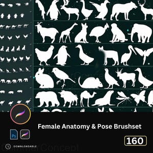 May include: A digital art brush set featuring white silhouette animal illustrations, including a deer, penguin, and bear. The text "Female Anatomy & Pose Brushset" is displayed below the animal silhouettes. The number "160" is in a white box.