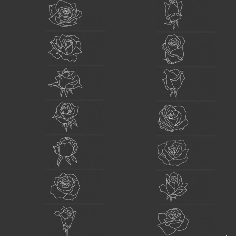 50 Rose Procreate Stamp Roses Sketch Line Art, Flower Brush Stamps ...