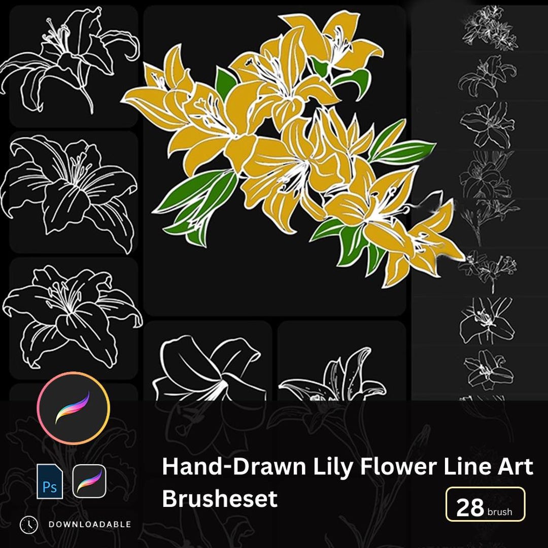 28 Lily Flower Line Art Procreate Brushes, Photoshop Floral Stamp ...