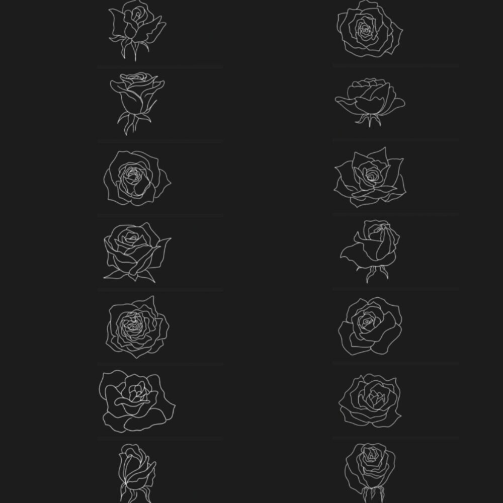 50 Rose Procreate Stamp Roses Sketch Line Art, Flower Brush Stamps ...