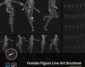 Procreate Female Figure Line Art Brushes | Anatomy, Pose & Gesture Guides | Sketching and Drawing Assistance for Procreate Photoshop