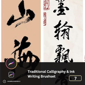 Set di 7 pennelli speciali per inchiostro per calligrafia, acquerello e inchiostro per Photoshop e Procreate, schizzi, timbri e pennelli Sumi-e, effetti schizzi di inchiostro Giappone