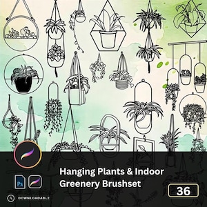 Puede incluir: Un conjunto de 36 ilustraciones en línea de plantas colgantes y vegetación de interior. Los diseños, en negro, incluyen macetas, colgadores de macramé y formas geométricas, sobre un fondo de acuarela. El texto dice "Hanging Plants & Indoor Greenery Brushset".