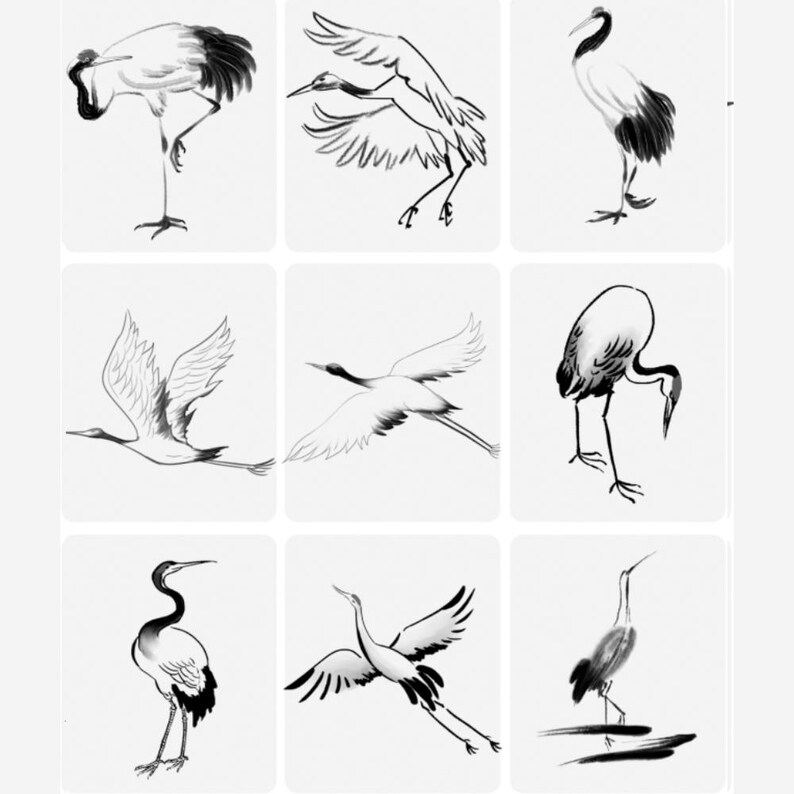 Ink Wash Cranes Procreate & PS Brushset | Traditional Chinese Style ...