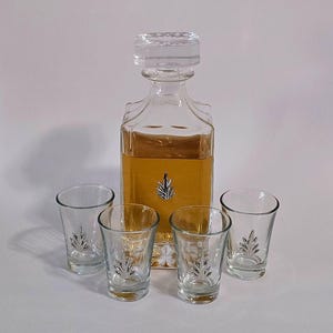 Ensemble de carafes à tequila avec verres : décoration de bar élégante