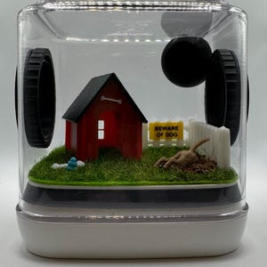 Jumping Spider Enclosure (Small) Dog House