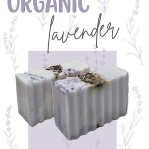 Organic Lavender