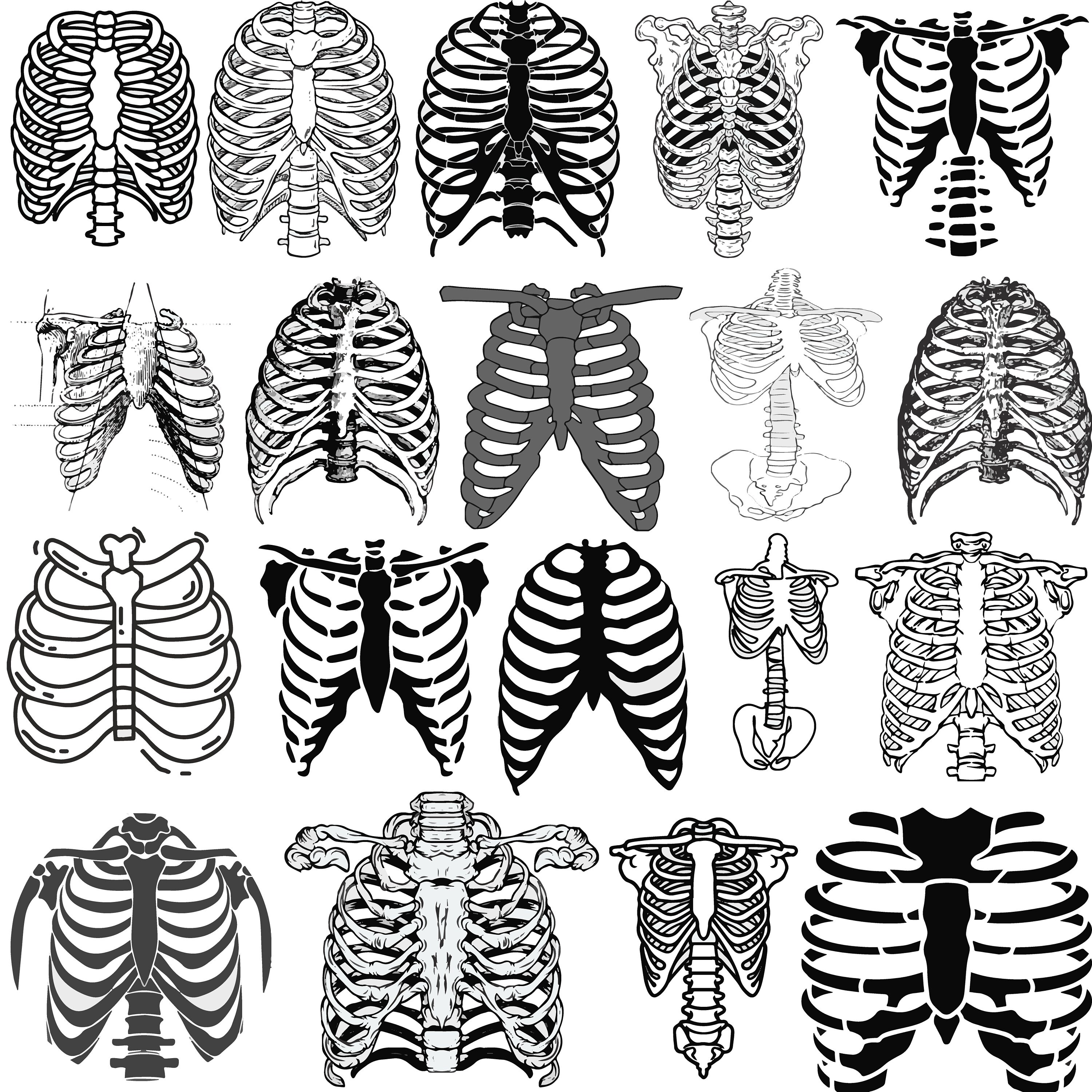 Skeleton Rib SVG Bundle, Skeleton Rib Clipart, Skeleton Rib Cut File ...