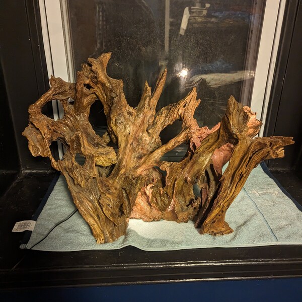 Maple Driftwood Lamp