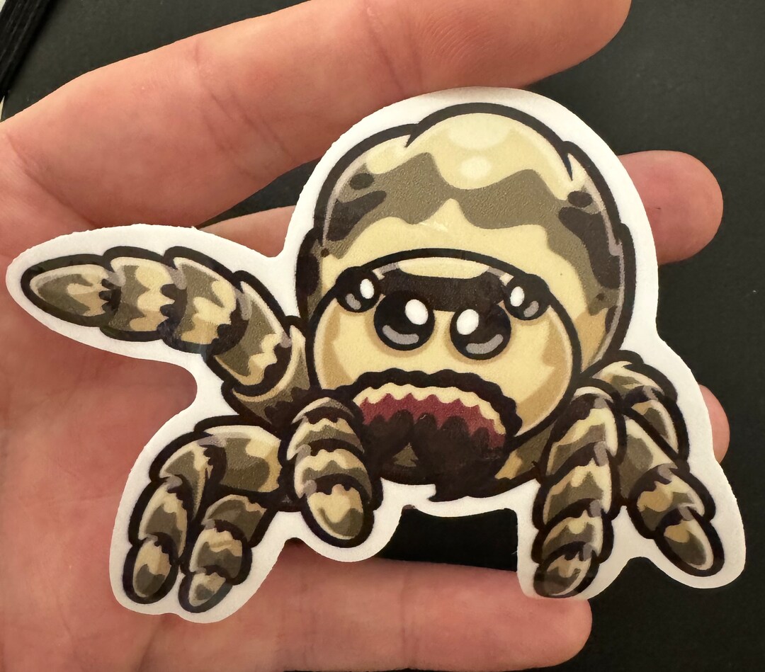 Chel-ly the Regal Jumping Spider Sticker - Etsy