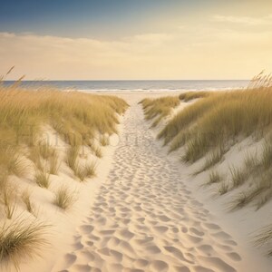 May include: A path through tall, golden grass leads to a sandy beach with the ocean in the distance. The sky is a soft blue with a hint of pink from the setting sun.