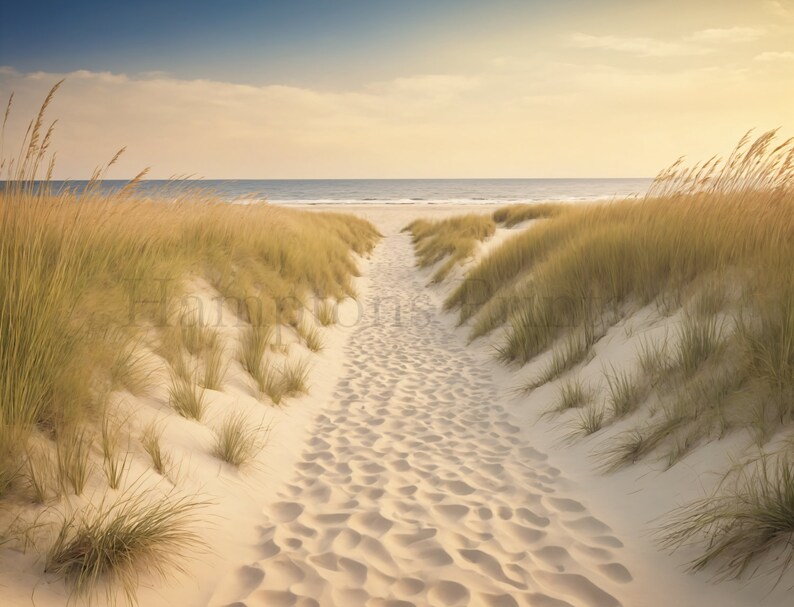 May include: A path through tall, golden grass leads to a sandy beach with the ocean in the distance. The sky is a soft blue with a hint of pink from the setting sun.
