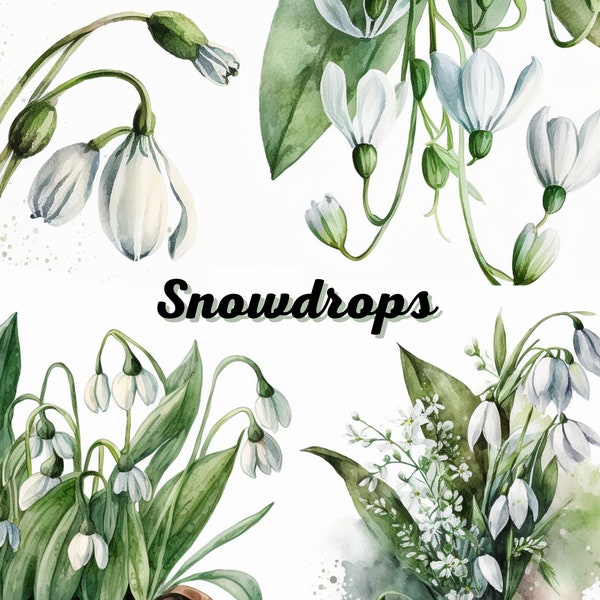 Snowdrops Watercolor Clipart, 10 PNGs High-Quality 300DPI, Commercial Use, White Background, White Flower Clipart, Winter Watercolor Clipart