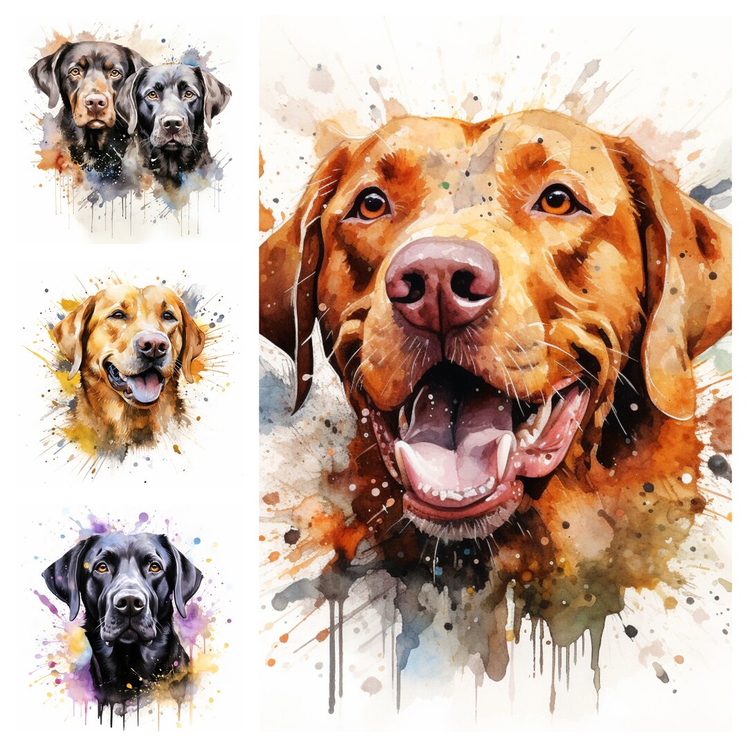 Labrador Portrait Digital Download Pet Dog Fox Red Golden Black Lab