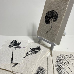 botanische kaarten, monotype, monotypia, botanische illustratie